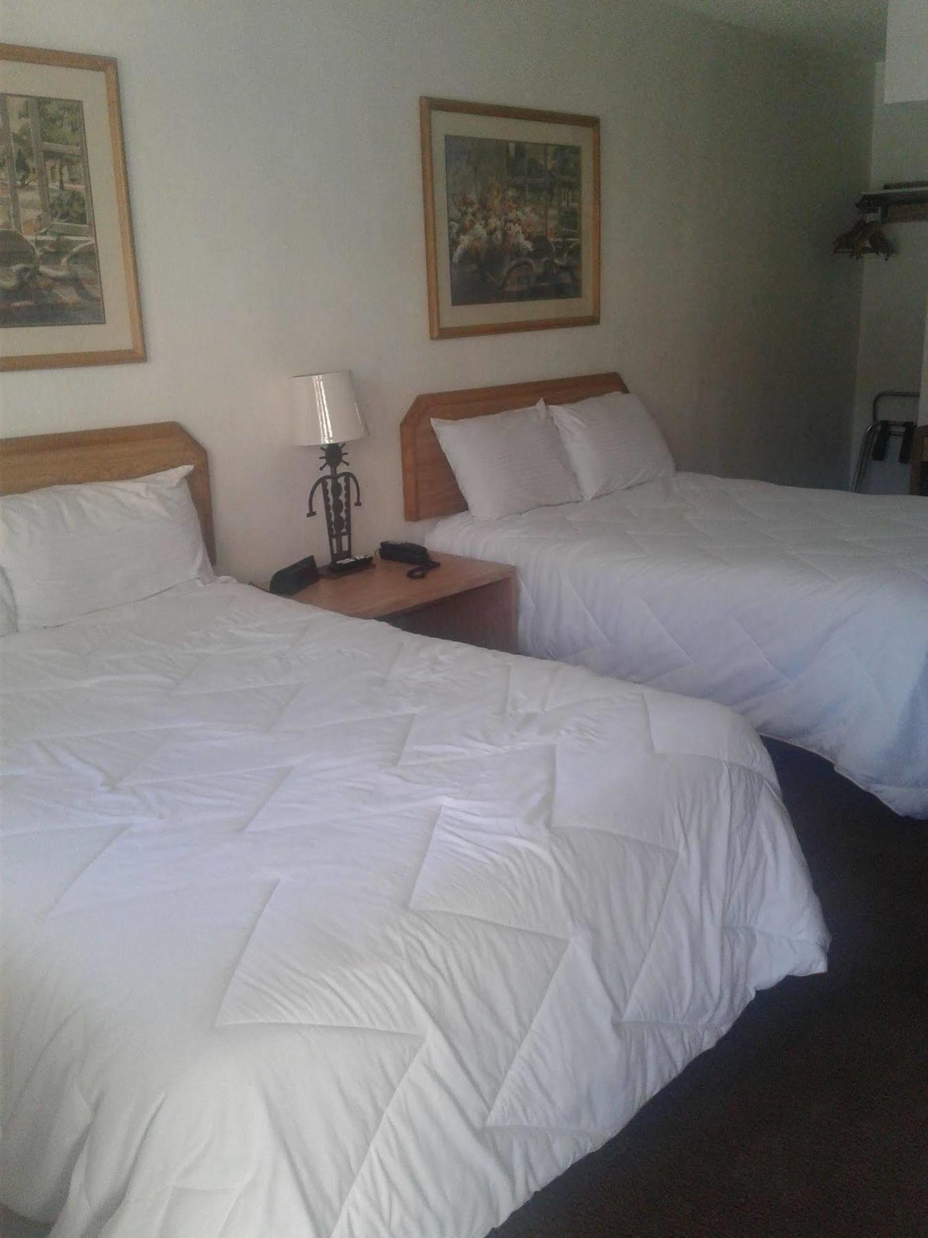 Desert Rose Inn リノ エクステリア 写真